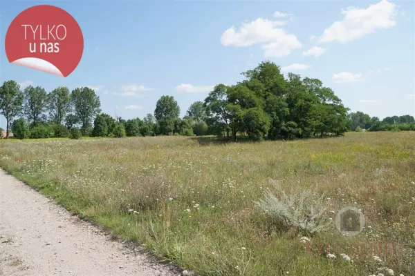 Deszczno, Gorzowski, Działka na sprzedaż