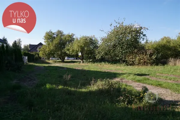 Gorzów Wielkopolski, Zieleniec, Sulęcińska, Działka na ul. Sulęcińskiej, plan ogólny: JS, OUZ